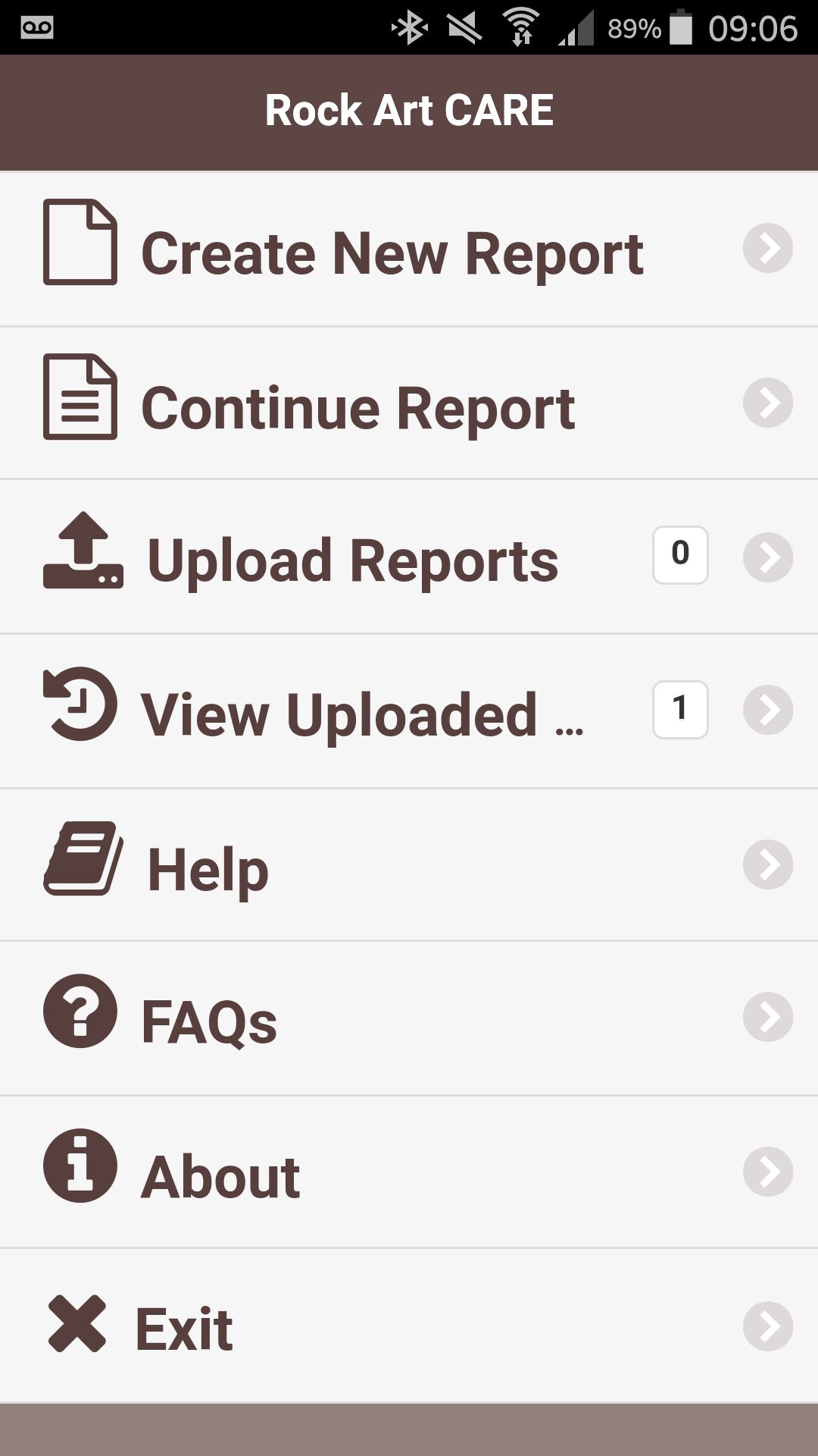 Rock Art CARE mobile app