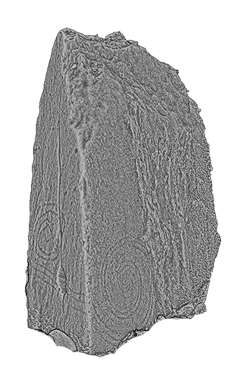 3D Model of the carved stone of Temple Wood Stone Circle (Kilmartin)